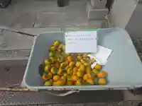 一音寺(京都府)