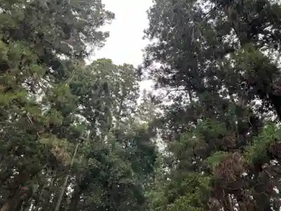 大宮温泉神社(栃木県)