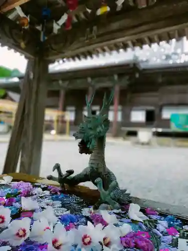 西教寺の手水舎