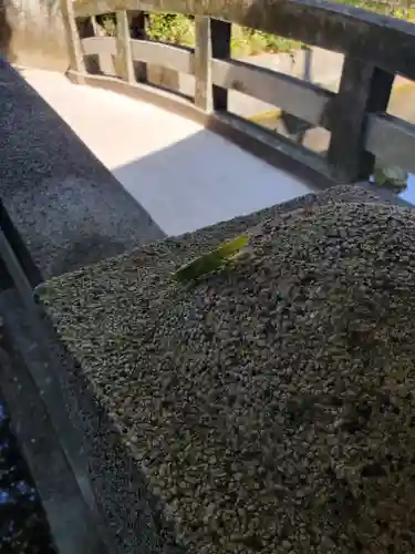 白蛇辨財天の周辺