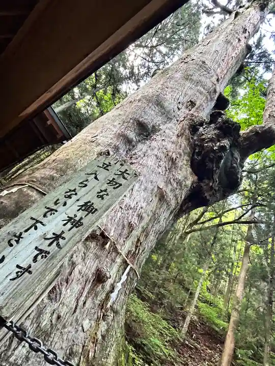 神坂神社(長野県)