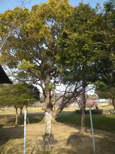 大己貴神社の塔