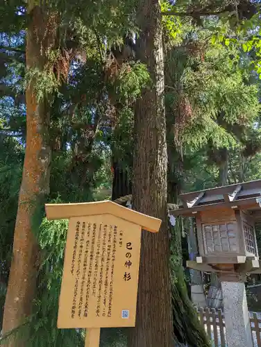 大神神社の自然