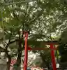 花園神社(東京都)