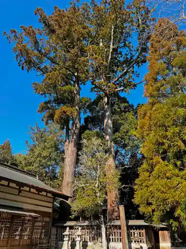 比自岐神社の自然