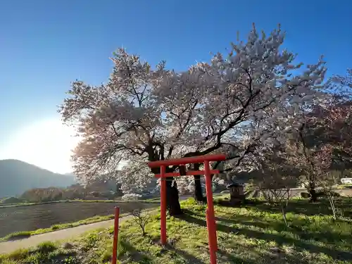 天神宮(伝河原氏屋敷跡)の自然