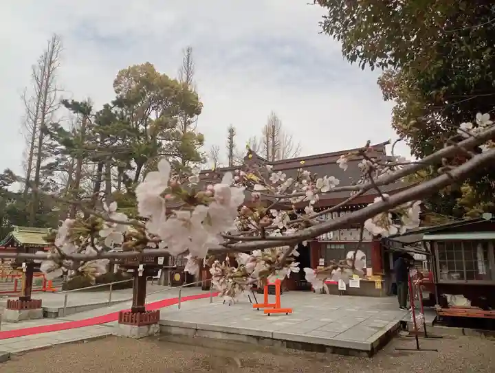 阿部野神社(大阪府)