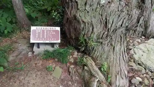 真南条下諏訪神社の自然