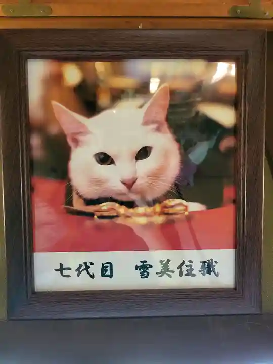 猫猫寺(京都府)