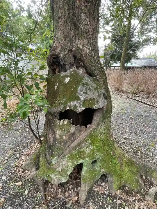 御裳神社の{uncategorized: "未分類", other: "その他", undefined: "問題あり", building: "その他建物", grave: "お墓", sacred_gate: "鳥居", guardian: "狛犬", statue: "像", buddha: "仏像", history: "歴史", nature: "自然", garden: "庭園", animal: "動物", pagoda: "塔", temizu: "手水舎", mountain_gate: "山門・神門", sanctuary: "本殿・本堂", subordinate: "末社・摂社", art: "芸術", scenery: "景色", jizo: "地蔵", ema: "絵馬", goshuin: "御朱印", omikuji: "おみくじ", items: "授与品その他", amulet: "お守り", goshuincho: "御朱印帳", eats: "食事", festival: "お祭り", votive_dance: "神楽", shichigosan: "七五三参", wedding: "結婚式", experience: "体験その他", initially: "初詣", around: "周辺", anti_infection: "感染症対策"}