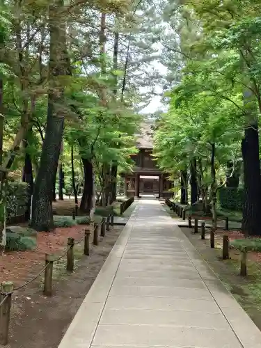 平林寺(埼玉県)