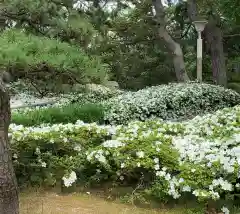 白山神社の庭園