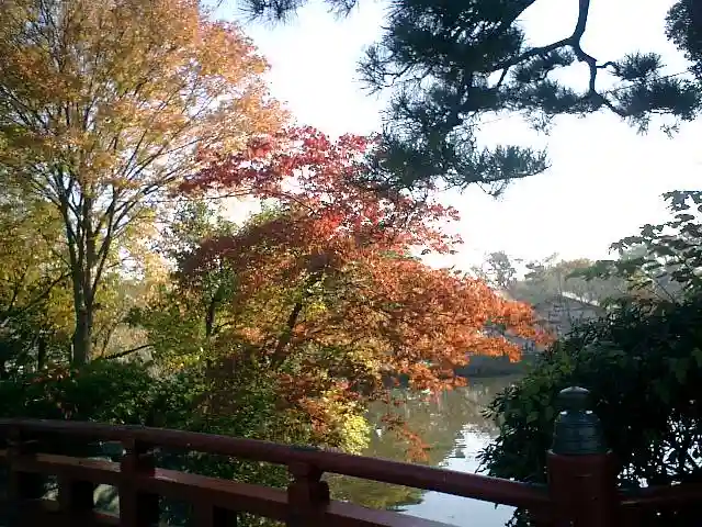 鶴岡八幡宮の自然