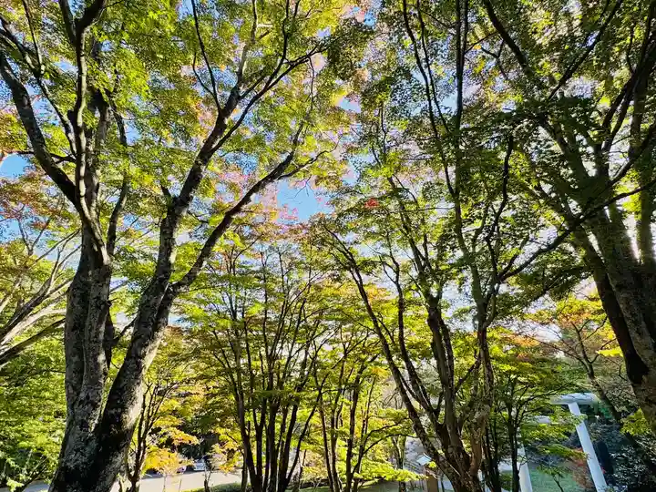 土津神社|こどもと出世の神さま(福島県)