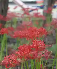 若宮八幡宮(京都府)