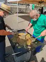 星福寺(埼玉県)