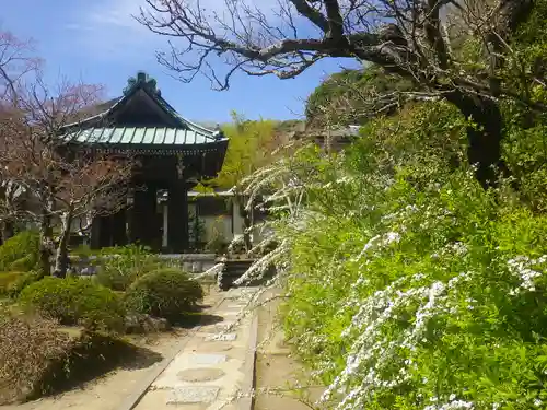 海蔵寺の庭園