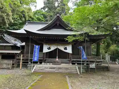秦神社(高知県)