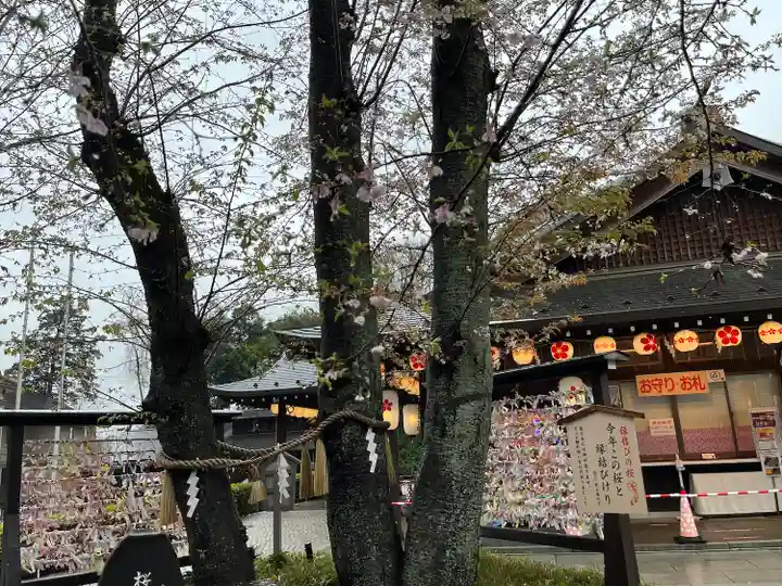 櫻木神社(千葉県)