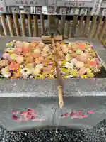 高円寺氷川神社(東京都)