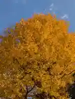 潮田神社(神奈川県)