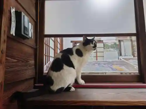 大綱金刀比羅神社(神奈川県)