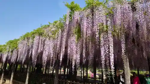 玉敷神社の庭園