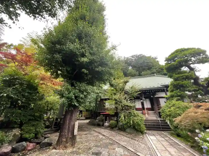 遍照寺(神奈川県)