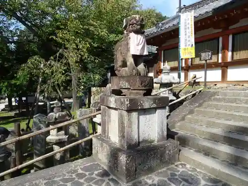 氷室神社の狛犬
