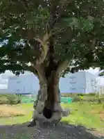 熊野社(愛知県)