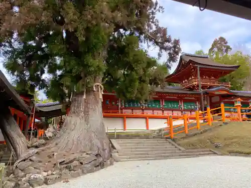 春日大社(奈良県)