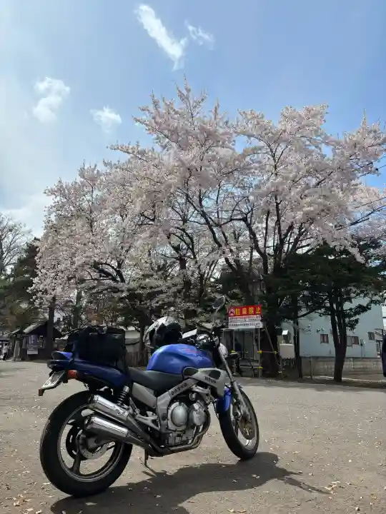 豊平神社の{uncategorized: "未分類", other: "その他", undefined: "問題あり", building: "その他建物", grave: "お墓", sacred_gate: "鳥居", guardian: "狛犬", statue: "像", buddha: "仏像", history: "歴史", nature: "自然", garden: "庭園", animal: "動物", pagoda: "塔", temizu: "手水舎", mountain_gate: "山門・神門", sanctuary: "本殿・本堂", subordinate: "末社・摂社", art: "芸術", scenery: "景色", jizo: "地蔵", ema: "絵馬", goshuin: "御朱印", omikuji: "おみくじ", items: "授与品その他", amulet: "お守り", goshuincho: "御朱印帳", eats: "食事", festival: "お祭り", votive_dance: "神楽", shichigosan: "七五三参", wedding: "結婚式", experience: "体験その他", initially: "初詣", around: "周辺", anti_infection: "感染症対策"}