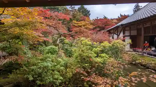 実相院門跡(京都府)