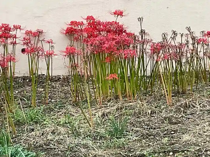 東福寺(東京都)