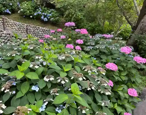 尊永寺(静岡県)