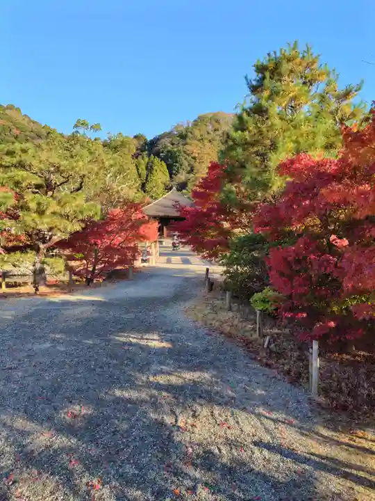 白水阿弥陀堂(福島県)