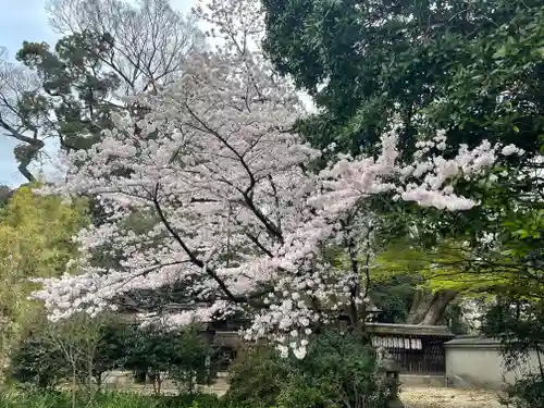 宗像神社の自然