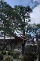 慶照寺(滋賀県)