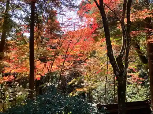 大矢田神社(岐阜県)