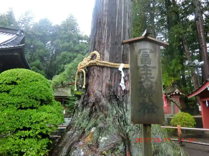 北口本宮冨士浅間神社(山梨県)