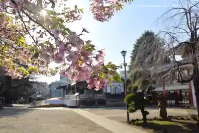 新井薬師（梅照院）(東京都)