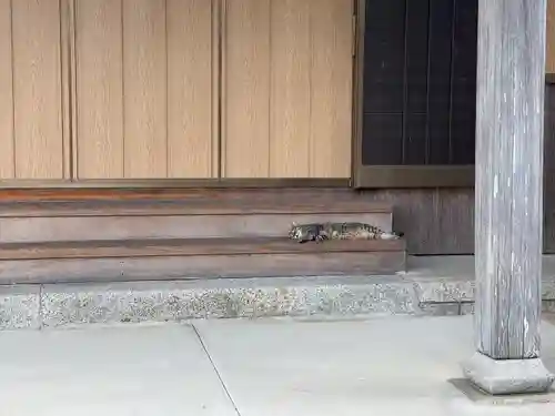 善導寺(三重県)