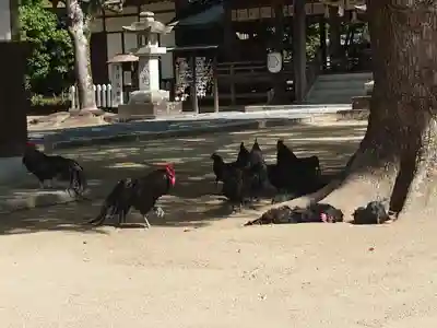 玉祖神社(山口県)