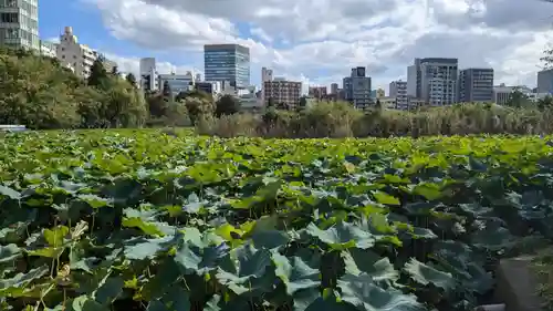 不忍池大黒天堂の景色