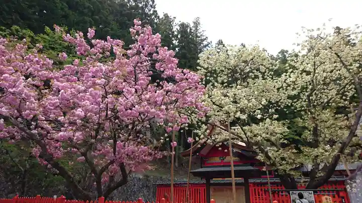 金櫻神社の自然