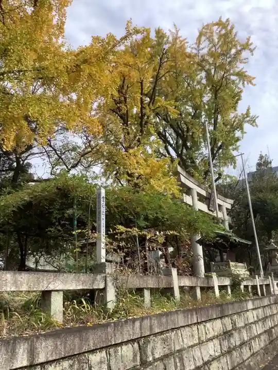 闇之森八幡社の自然