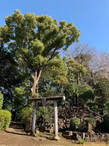 姉埼神社の鳥居