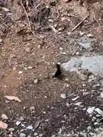 大宮温泉神社(栃木県)