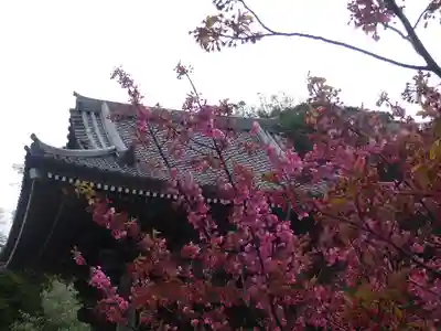 光明寺のその他建物