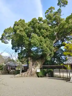 粉河寺(和歌山県)